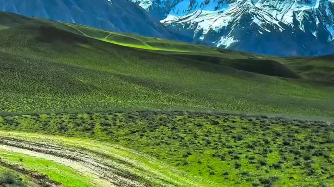 Quran e pak