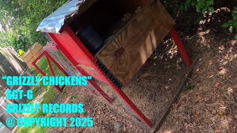 GRIZZLY CHICKENS OFFICIAL MUSIC VIDEO