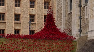 Blood-red ceramic poppies 'flow across’ Tower of London for VE Day