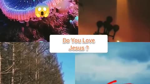 Jesus' Compassion: A Beacon of Hope for All 😇✝️ #god #jesus #jususchrist #virel #edit