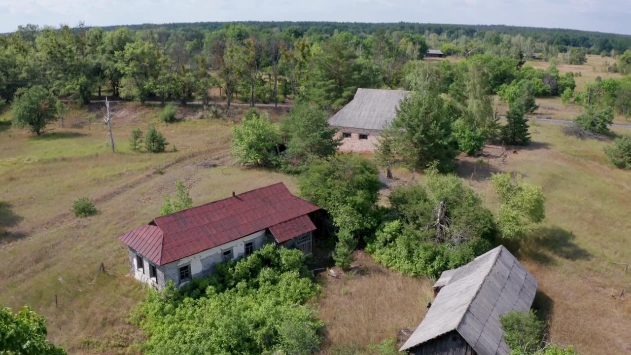 The Halloween Mystery: What Happened to Lula Briggs?
