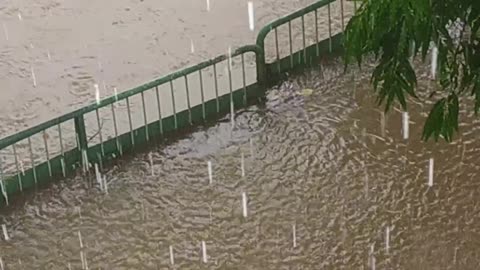 Rains