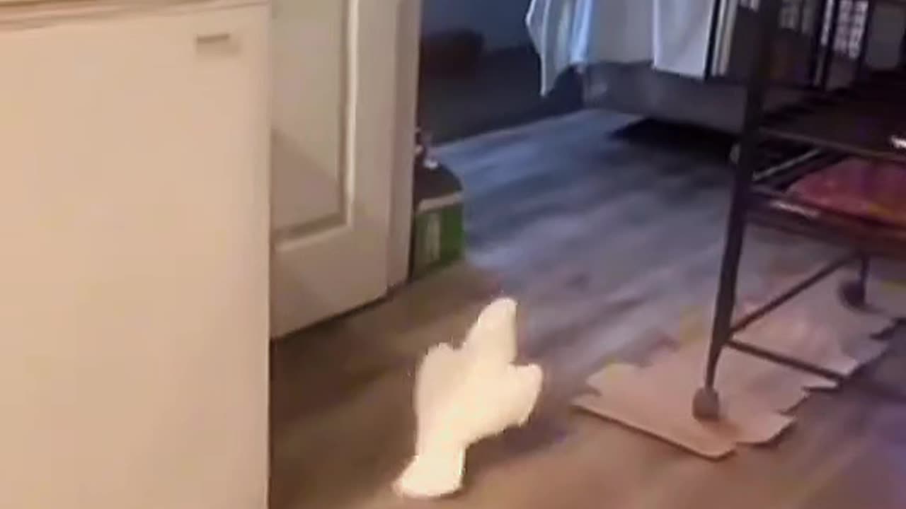 laugh – it’s good for you! 😂