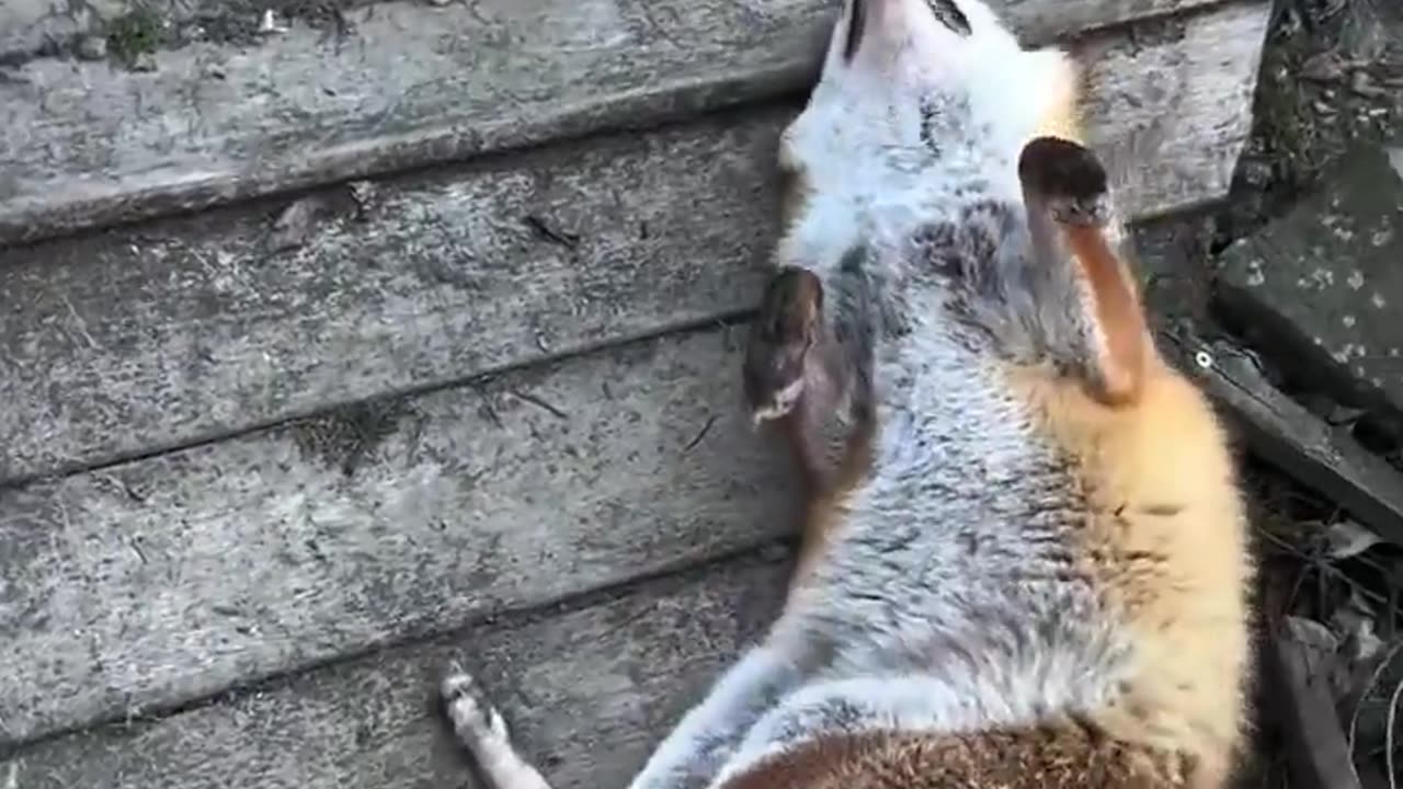 Severe case of ADHD 😊