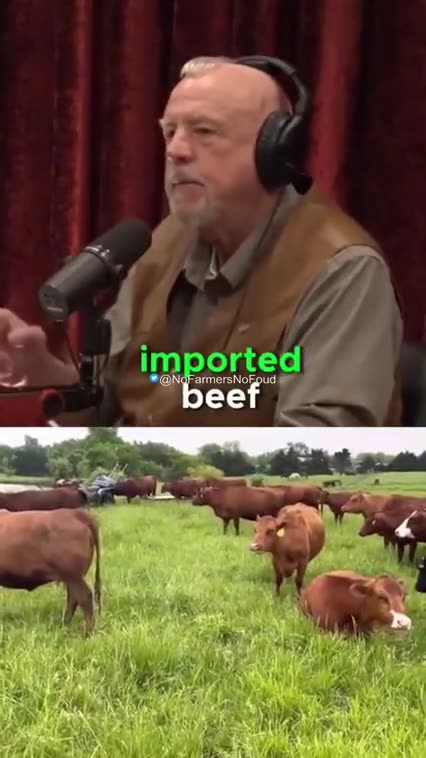 LEGAL DOES NOT BY DEFINITION MEAN LAWFUL 📜 [UNLESS IT IS TOLERATED]