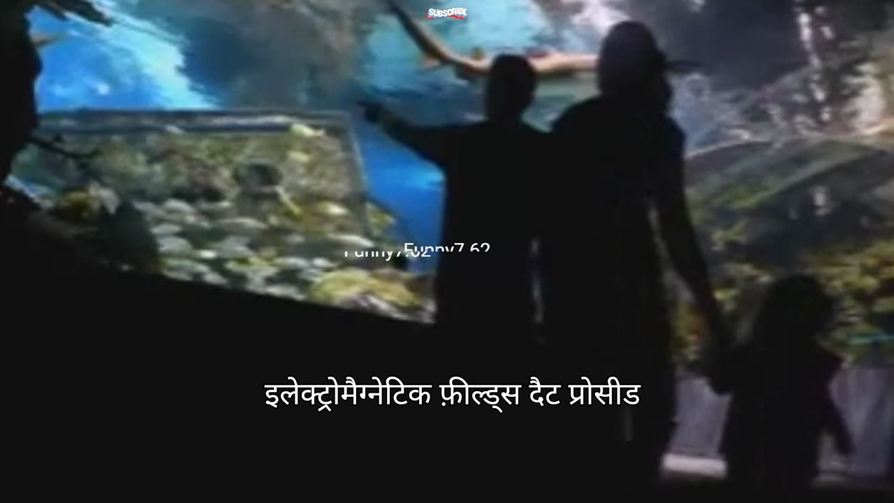 Leviathan Rises Deep Sea Mystery!