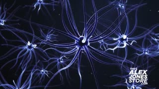 ALEX JONES - INFOWARS LIVE - ALEXJONES.NETWORK - THERE'S A WAR ON FOR YOUR MIND! ➡ THE ALEX JONES SHOW • THE AMERICAN JOURNAL WITH BREANNA MORELLO • WAR ROOM WITH HARRISON SMITH