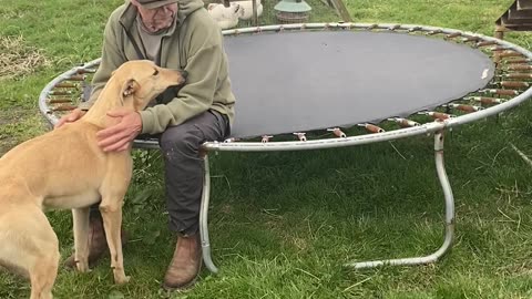 Small but Mighty Goat Pulls a Fast One