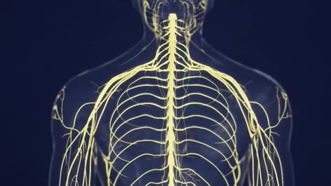 What Happens When Cobra Snake Bites A Human