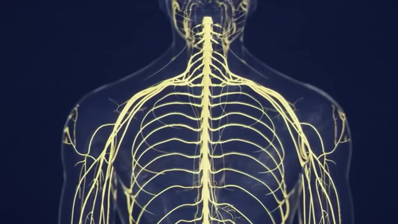 What Happens When Cobra Snake Bites A Human