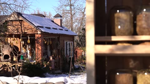 Making a DIY Wooden Bird Feeder - Helping Birds During Winter
