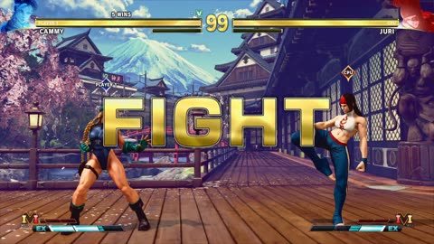 Street Fighter V Battle71