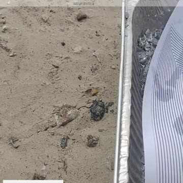 Tim Rifat TikTok Videos