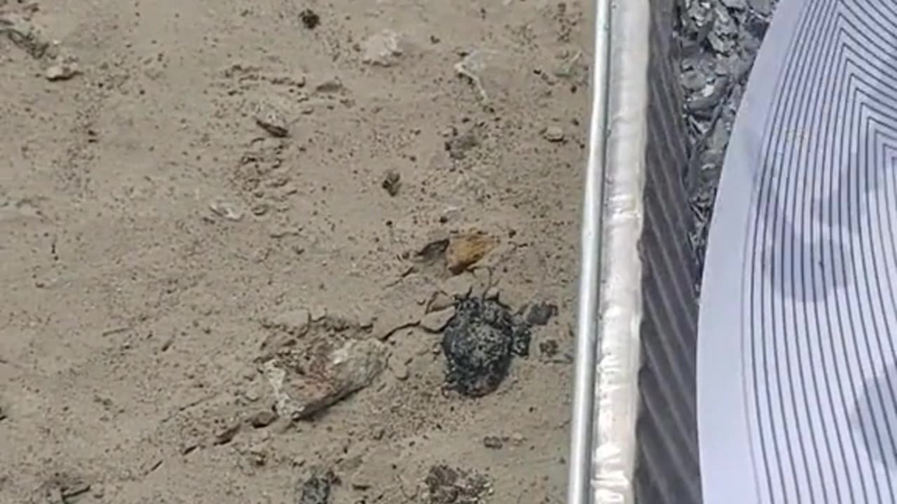 Tim Rifat TikTok Videos