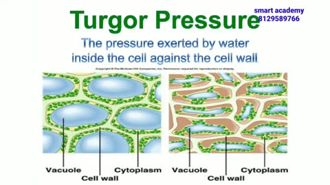 Biology, Module 2,Chapter8