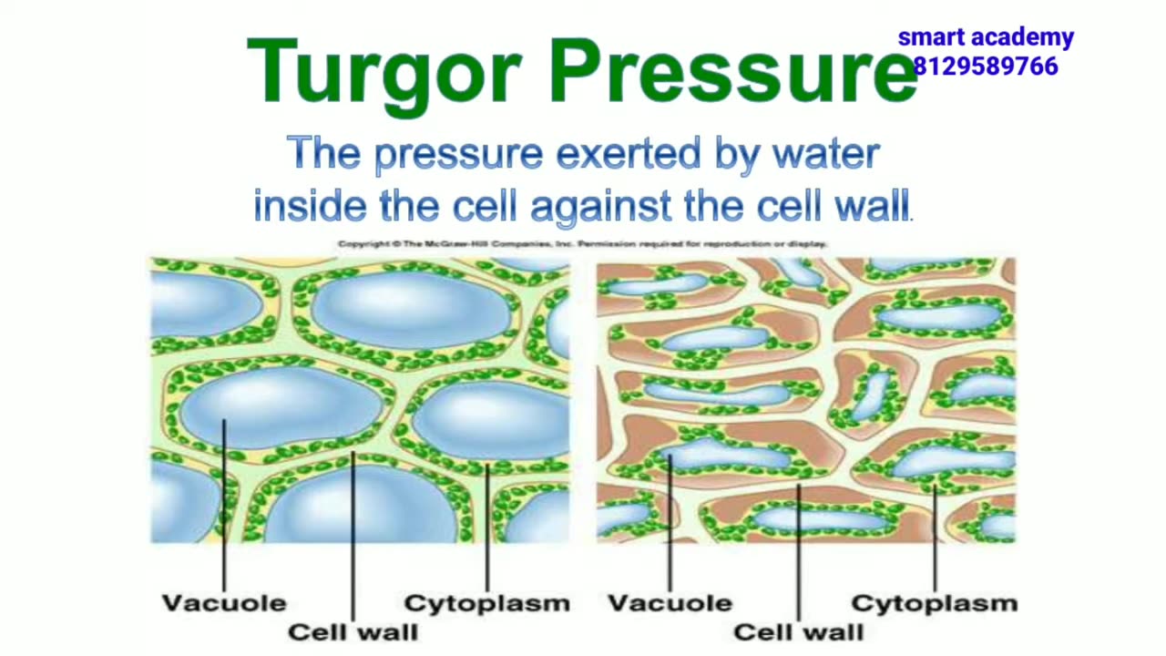Biology, Module 2,Chapter8