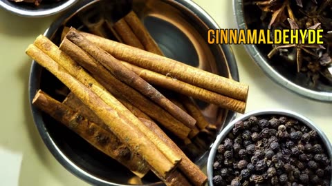 8 Reasons to Drink CINNAMON TEA Daily