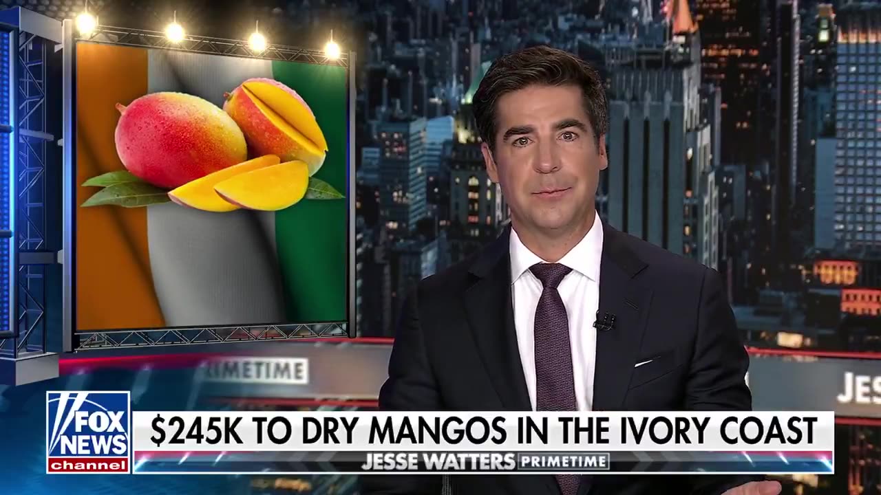 Jesse Watters ※ $25 million in DEI grants just got DOGE'd
