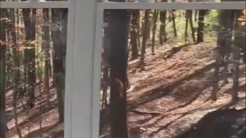 Amazing design! Amazing view!