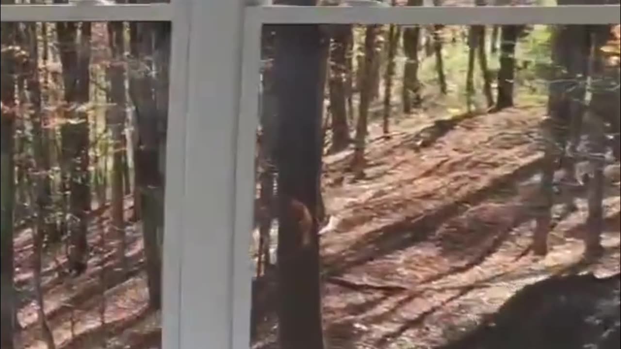 Amazing design! Amazing view!