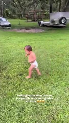 A kid a puddle and a dog - great stuff.