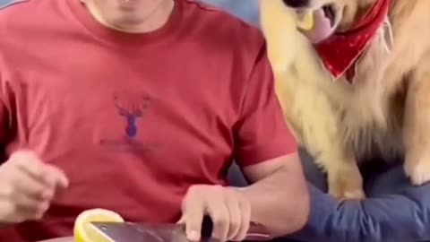 😍😍😘🔥 😍💦 FUNNY Animals and pet's💕😘 😘🔥 💕😘 😍💦 💦
