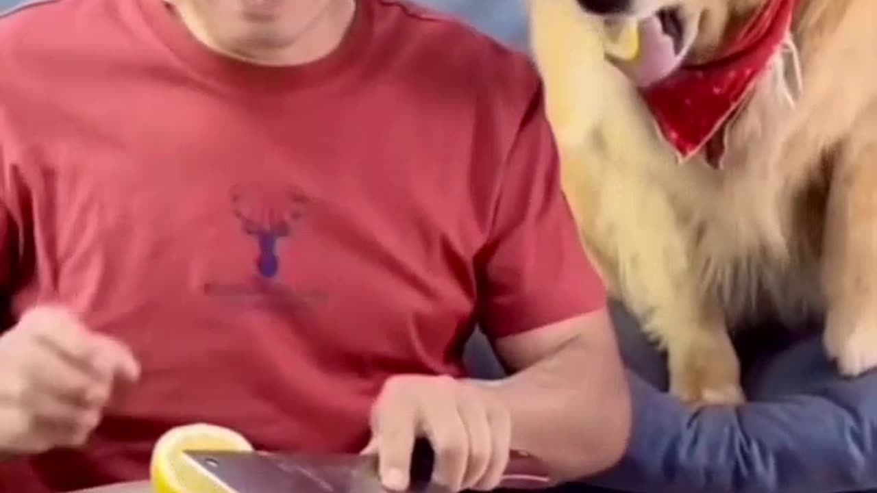 😍😍😘🔥 😍💦 FUNNY Animals and pet's💕😘 😘🔥 💕😘 😍💦 💦