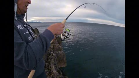 Unreal Ocean Fishing Experience – One Hook, One Beast!