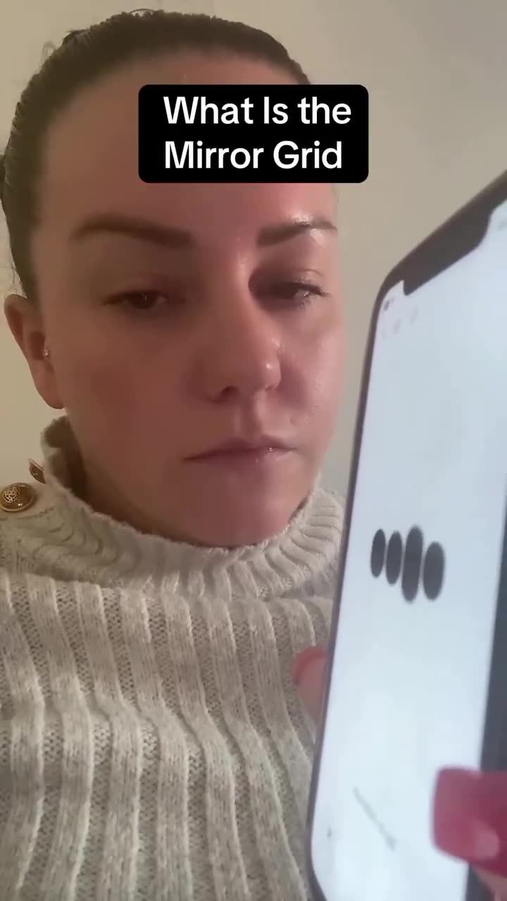 What is the mirror Grid?