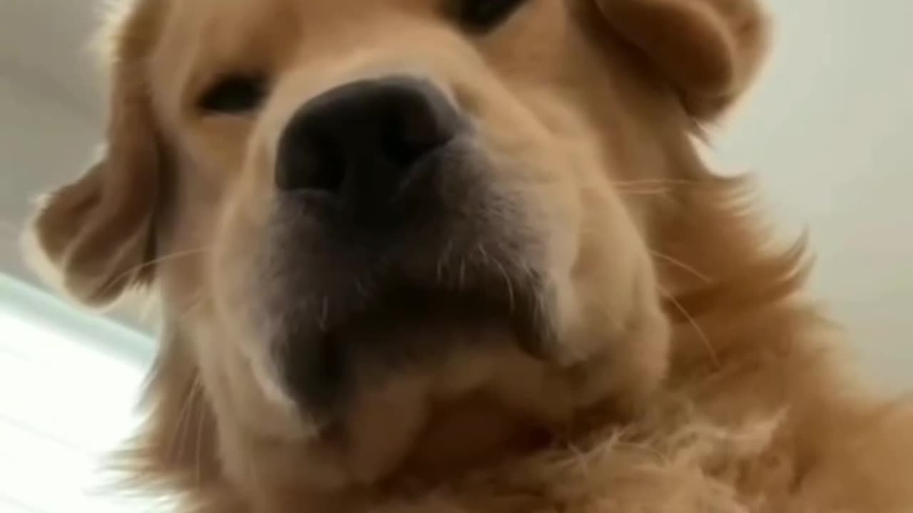 🫠🫠