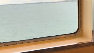 🛸😱 What's This Mystery Object I Saw on a Ferry?! | TheTruthAbove