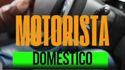 Motorista doméstico