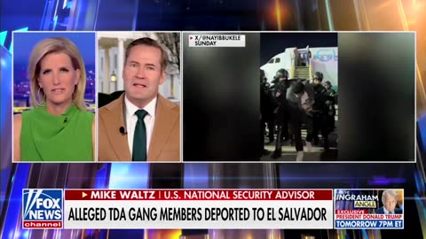 Nat'l Security Adviser Mike Waltz on deporting criminal illegal gang members