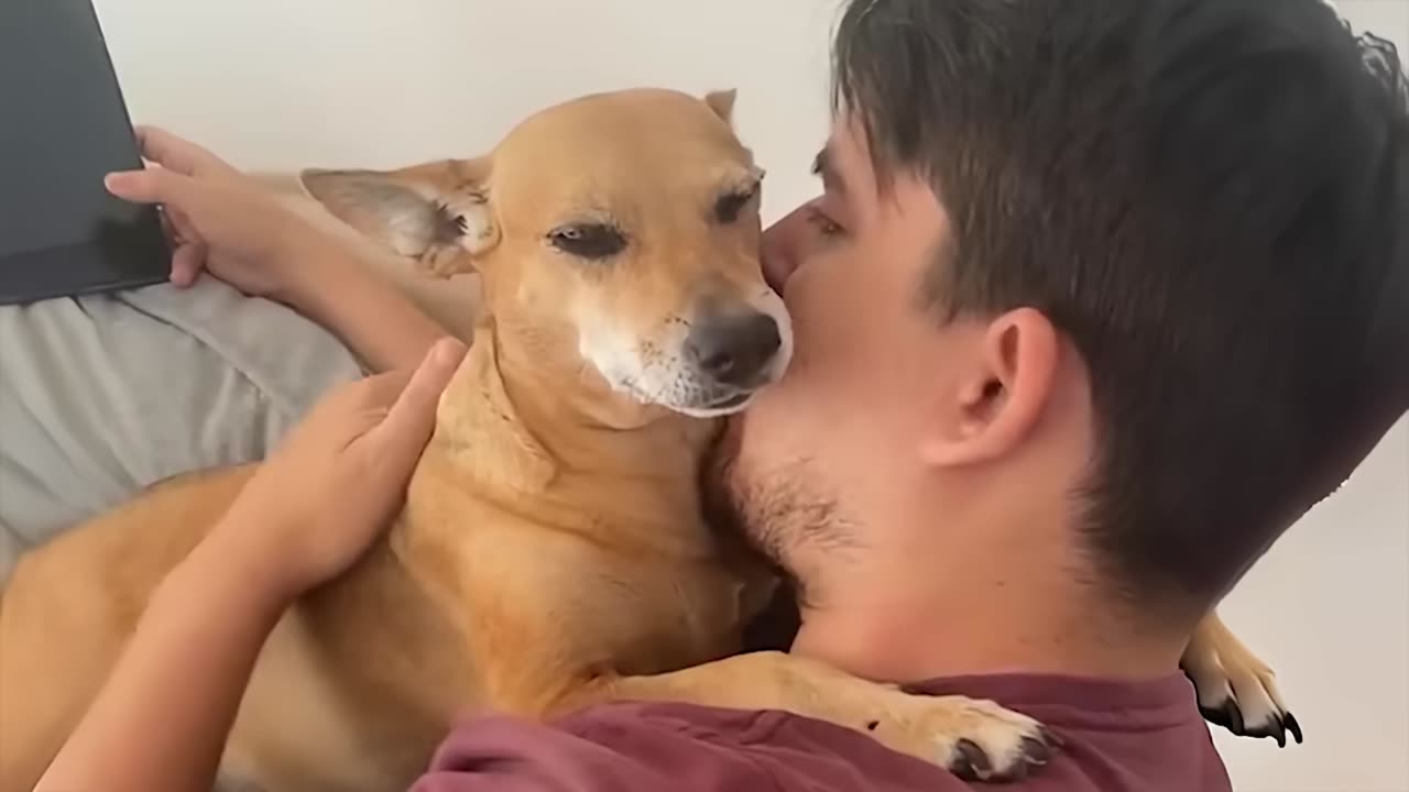 When my dog looks at me like Iām the real 'third wheel' š
