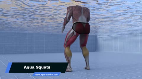 Aqua Squats That BURN!🔥 Bodyweight Pool Workout You Didn’t Know You Needed