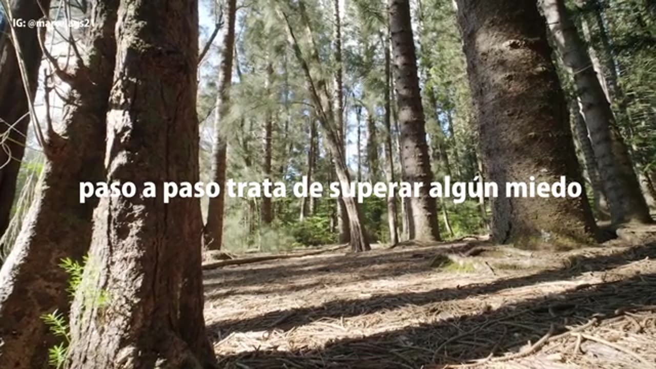GUÍA PARA SER TU MEJOR VERSIÓN ESTE AÑO NUEVO_part9