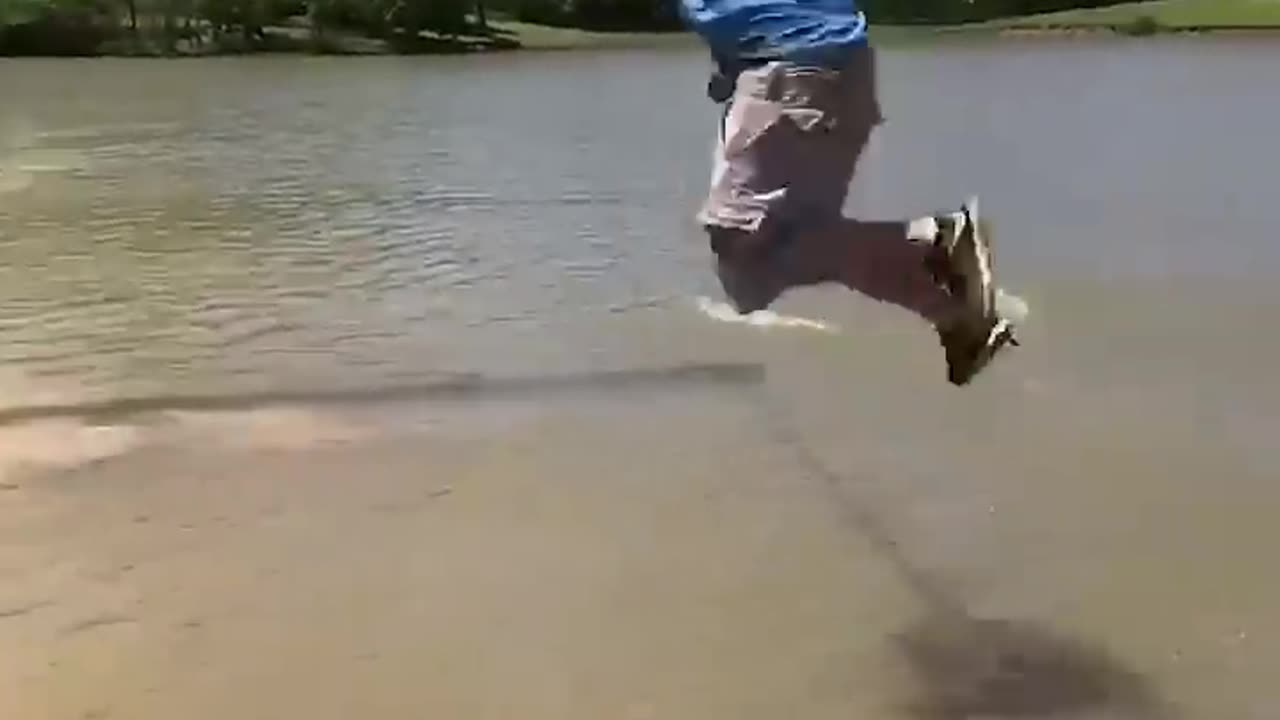 Rope Swings Never Fail to Disappoint!! 😂🌊#funny #afv #fall #fail - America's Funniest Home Videos )