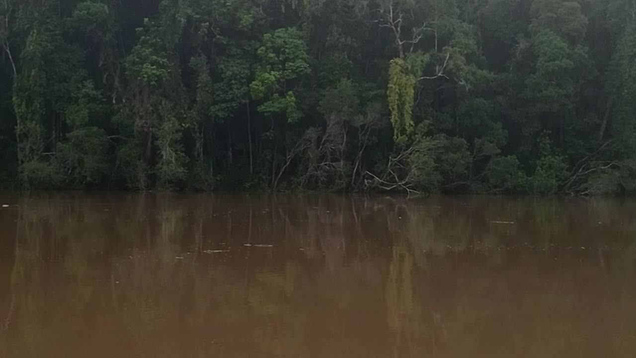 13.2.2025 The Barron River, Kuranda