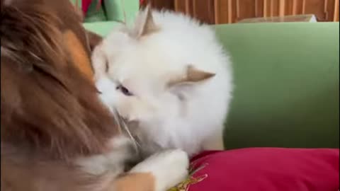 bonding time