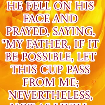 "Not My Will, But Yours Be Done" Matthew 26:39 #shorts #youtubeshorts #ytshorts #youtube #shortvideo