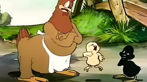 Animals funny video crazy viral trending video crazy viral video