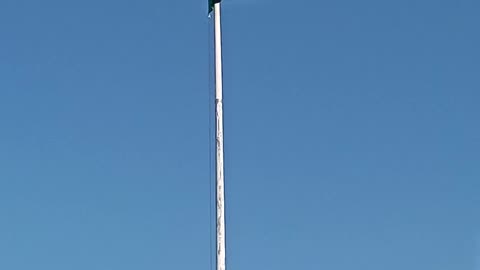 Indian flag