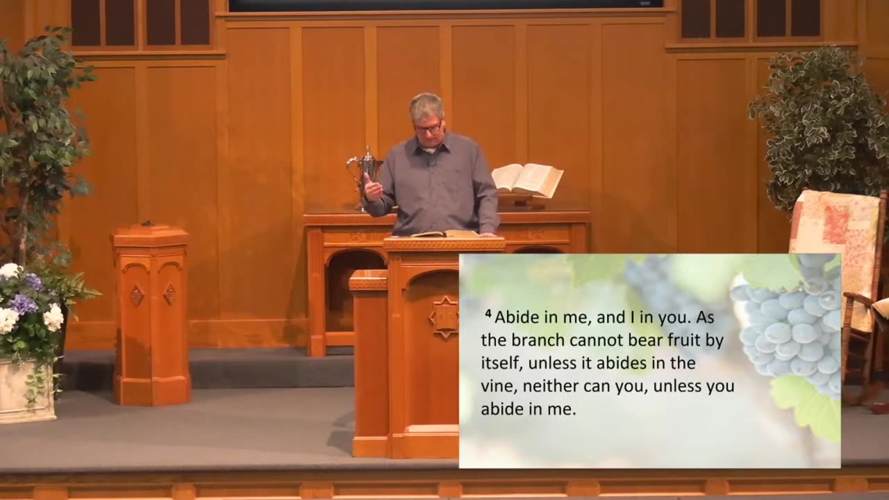 Getting to Know Jesus: The Vine