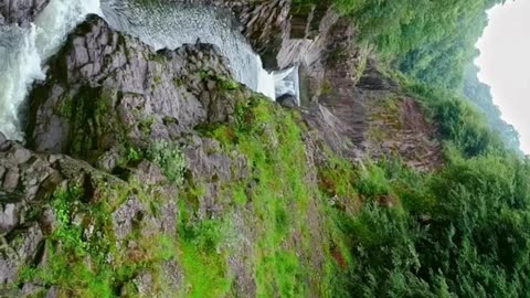 Beautiful nature Relaxing video #nature #naturelovers #beautiful