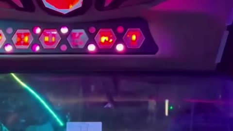 Mega Limo Chicago – Luxury Night Party Limousine Service for Unforgettable Evenings