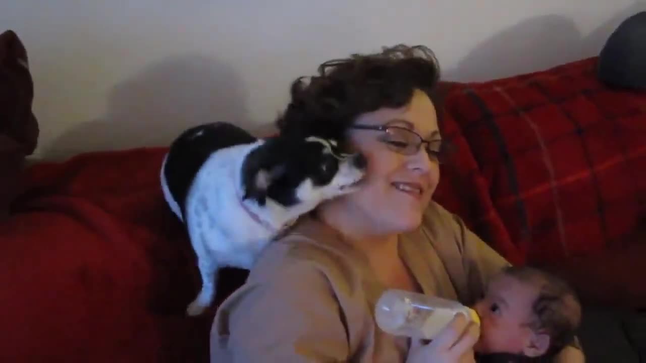 Cutest babys kids compilation 5