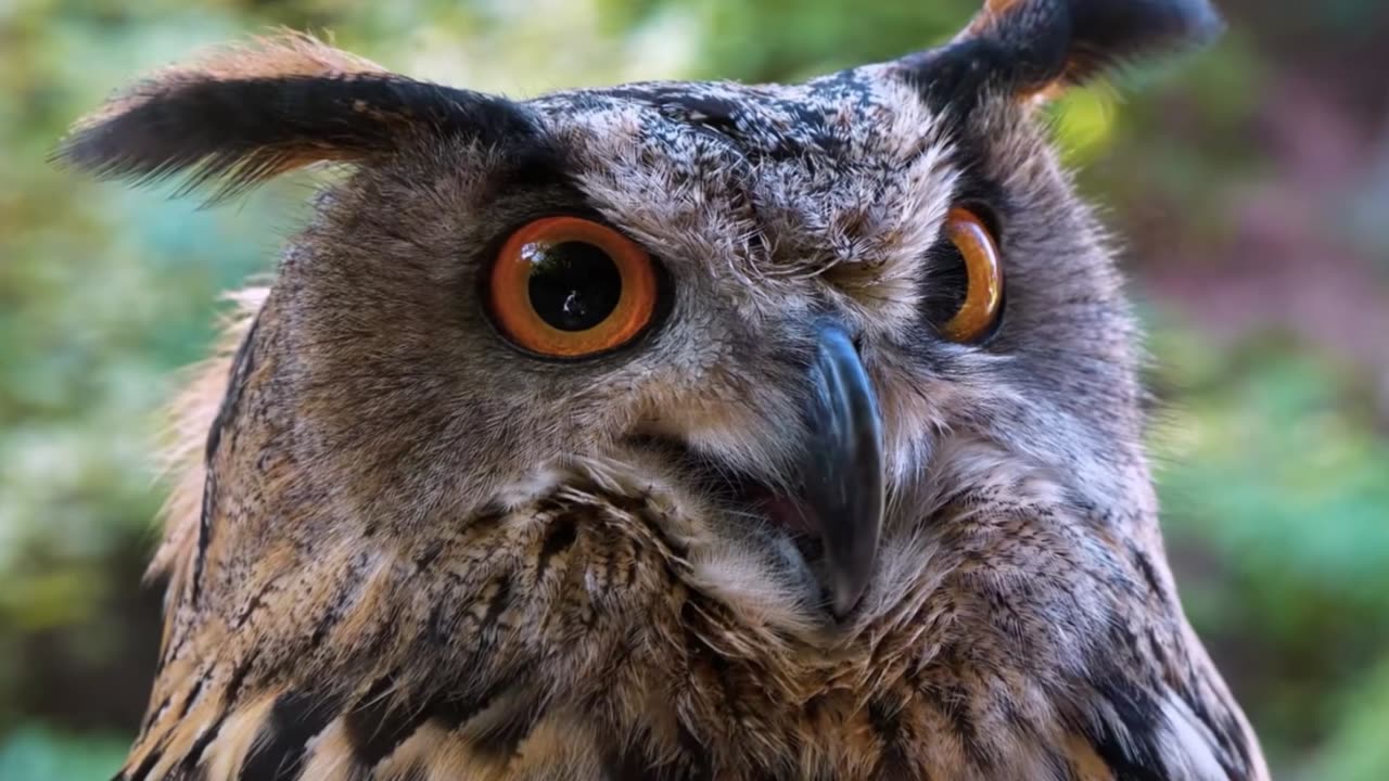 Office Concentration Classical Playlist