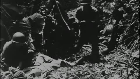 CAPTURED GERMAN RIF... - CAPTURED GERMAN RIFLES, FRANCE ; INV 217 ; GRAVES FOR AMERIC - 111-adc-1566