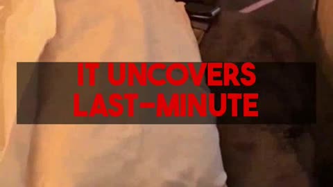 How Mighty Travels PREMIUM makes Business Class & 5-Star Hotels affordable for $9.99/mo.