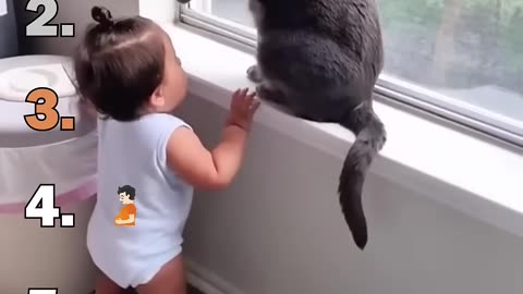 Video funny